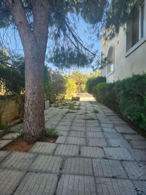 Apartmán Peaceful Oasis Atény Exteriér fotografie
