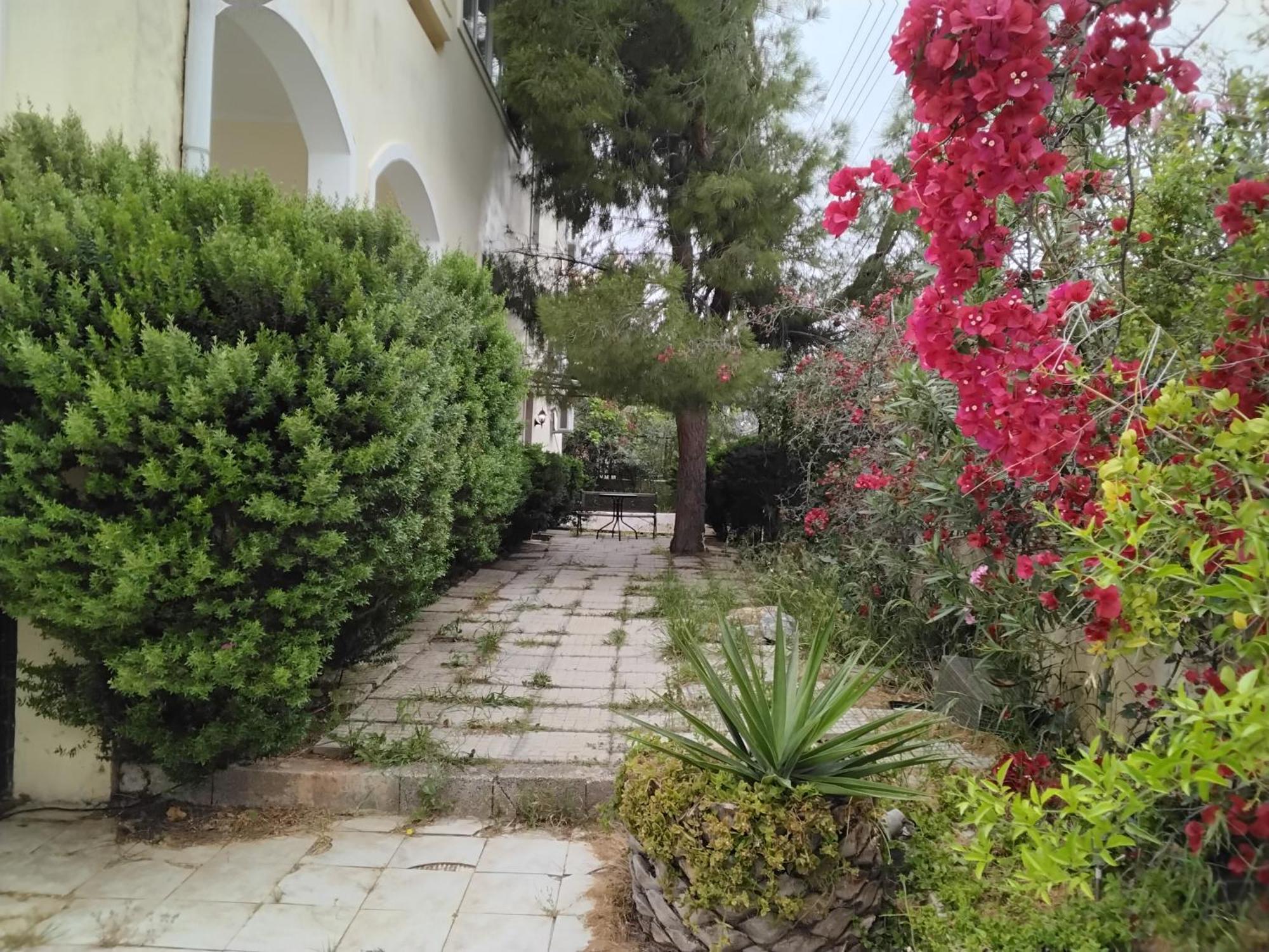 Apartmán Peaceful Oasis Atény Exteriér fotografie