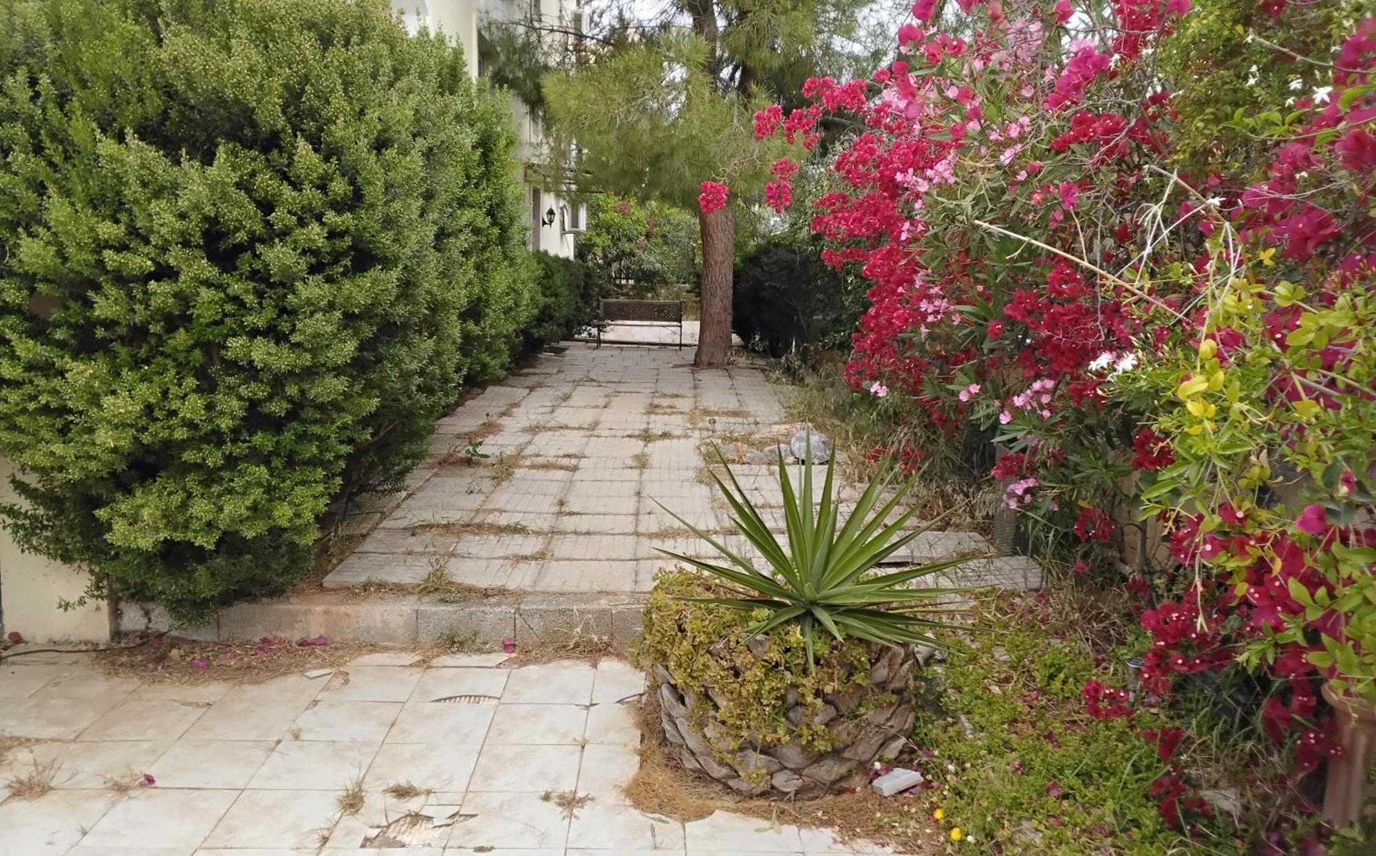 Apartmán Peaceful Oasis Atény Pokoj fotografie